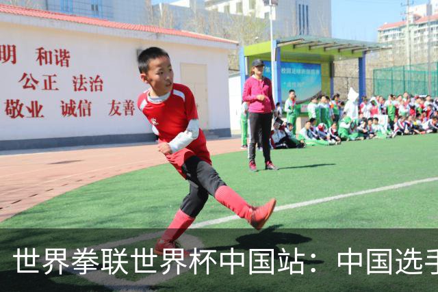 世界拳联世界杯中国站：中国选手斩获5金